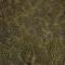 Speckled Olive