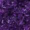 UV Purppura