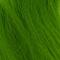 Chartreuse
