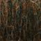 Mottled Olive