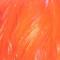 Oranssi (hot)
