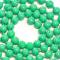 Fl. Green