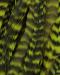 Grizzly Fl. Green Chartreuse