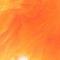 Fl. Oranssi