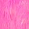 Pinkki