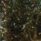 Olive Gold, 15 mm