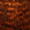 Grizzly Oranssi