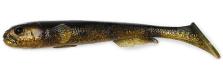 Spotted Bullhead