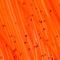 Fl. Oranssi