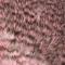 Grizzly Shell Pink
