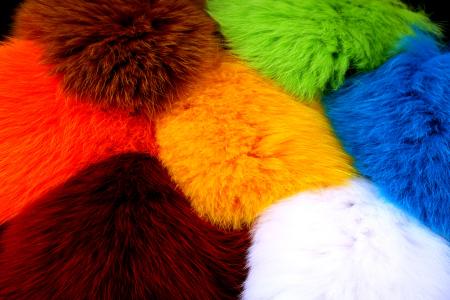 Shadow Fox (FutureFly)