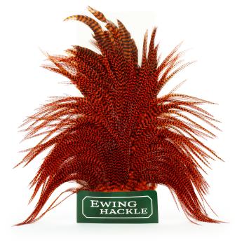 Ewing Rooster Saddle