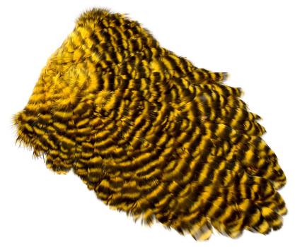 FutureFly American Saddle