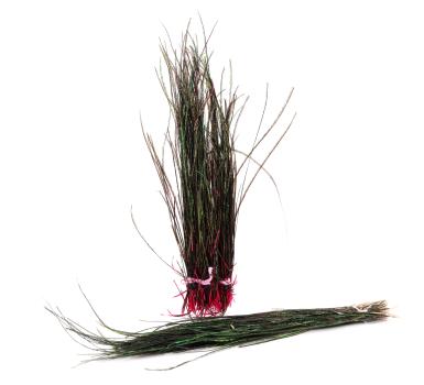 Peacock Herl (Hends)