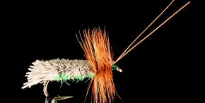 Goddard Sedge