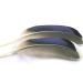 Mallard Duck Wing Quills Blue/White Tip