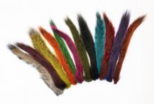 Squirrel Tail (Veniard)