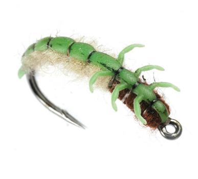 Caddis Larva
