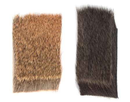 Pintaperhopeura / Comparadun Hair