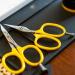 Loon Tungsten Carbide Universal Scissors