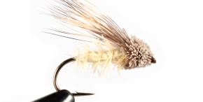 Streaking Caddis
