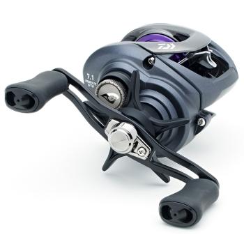 Daiwa Prorex PE SV TW 100