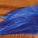 Strung Chinese Saddle Hackle
