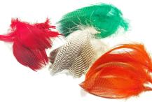 Teal Flank Feathers