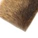 Swiss CDC Gemssi (Chamois)