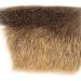 Swiss CDC Chamois