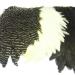 Metz Hen Saddle