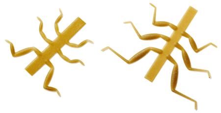 Realistic Nymph Legs