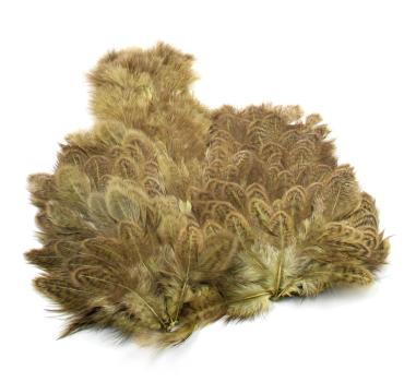 Whiting Brahma Hen Soft Hackle with Chickabou