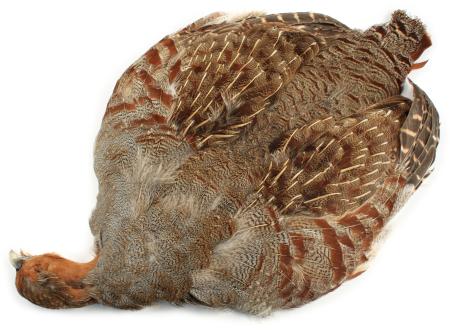 Partridge Skin, English (Veniard)