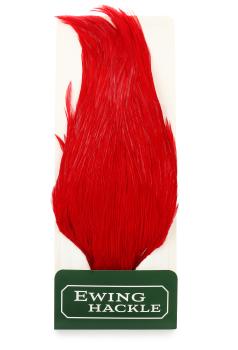 Ewing Rooster Cape