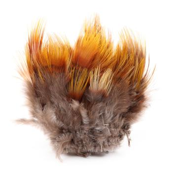 Kultafasaanin vartalohöyhenet