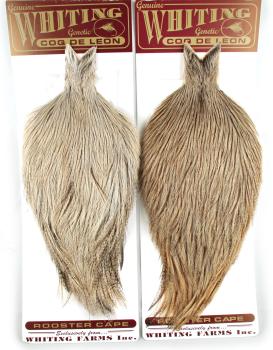 Whiting Coq de Leon Kukonniska