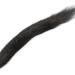 Fox Squirrel, Black (dyed)
