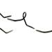 Pacific Bay Snake Guide