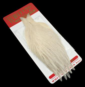 Whiting Kananniska