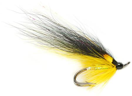 Posh Tosh Double