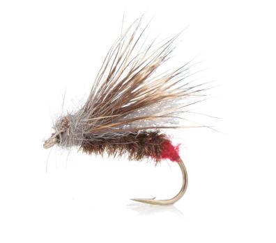 Red Tag Caddis