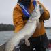 Savage Gear 3D Goby Shad