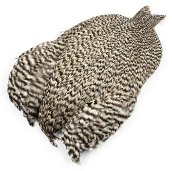 Whiting 4 B's Rooster Cape