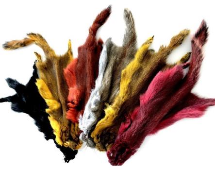 Golden Squirrel (FutureFly)