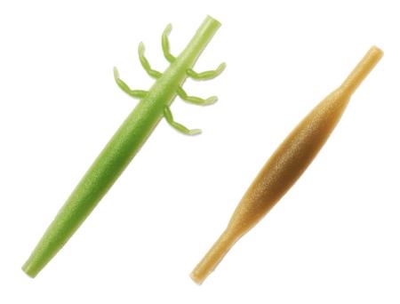 Realistic Nymph Backs