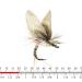 Mayfly Emerger