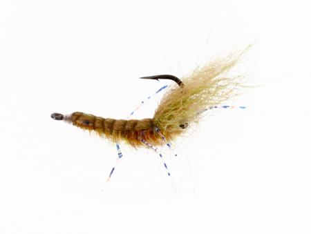 Honey Shrimp UV