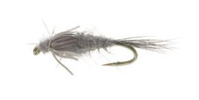 A.P. Muskrat