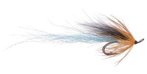The Podolsky Fly